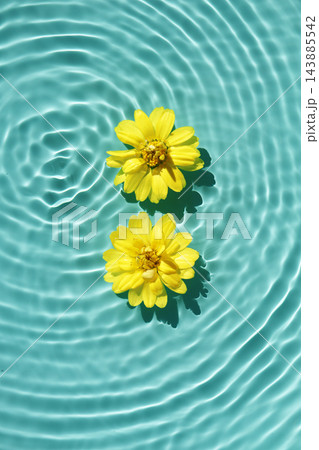 Zinnia blossoms floating on blue water with sunlight reflections. Zinnia blossoms floating on blue water with sunlight reflections. 143885542