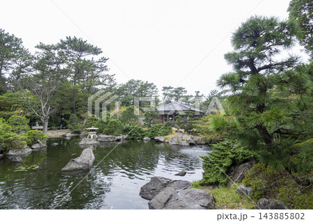 葉山しおさい公園の秋 葉山しおさい公園の秋 143885802