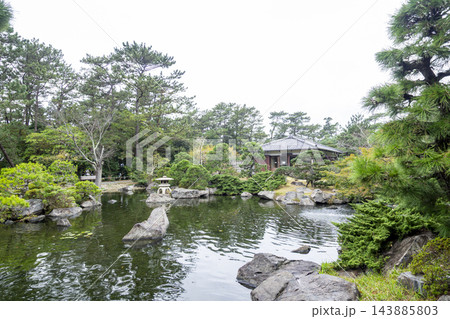 葉山しおさい公園の秋 143885803