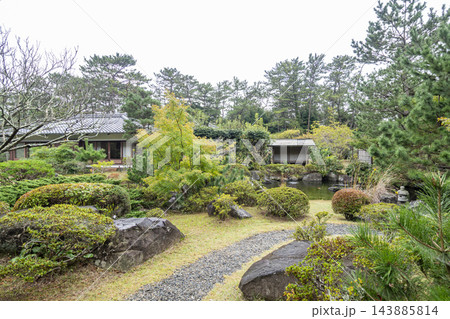 葉山しおさい公園の秋 143885814