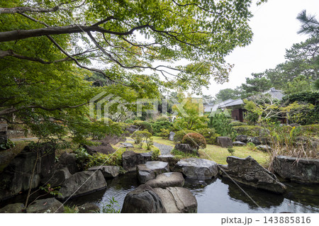 葉山しおさい公園の秋 葉山しおさい公園の秋 143885816