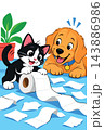 Pets playing with toilet paper creating a mess 143886986