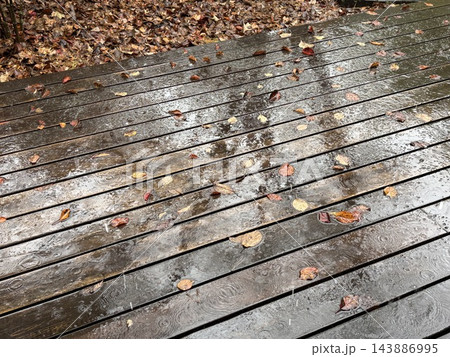 雨に濡れたウッドデッキ 143886995