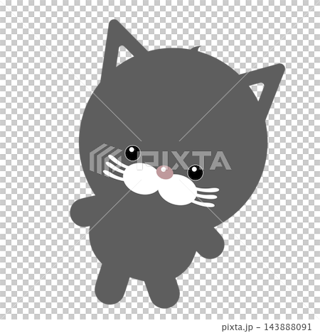 Gray cat with a stiff neck Gray cat with a stiff neck 143888091