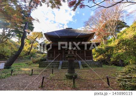 三渓園の紅葉 三渓園の紅葉 143890115