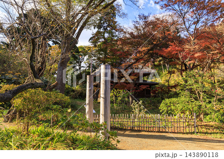 三渓園の紅葉 三渓園の紅葉 143890118