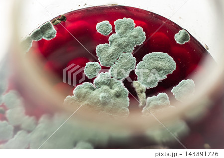 Mold growth on beverage surface. Highlights expired product risks. Danger of ignoring expiration dates, improper storage, and unsafe consumption 143891726