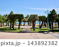 Landscaped Beachfront Park with Manicured Trees in Nha Trang Landscaped Beachfront Park with Manicured Trees in Nha Trang 143892382