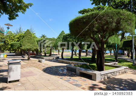 Shaded Tropical Park with Trimmed Trees Near Nha Trang Beach Shaded Tropical Park with Trimmed Trees Near Nha Trang Beach 143892383
