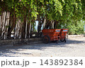 Municipal Waste Cart in Tropical Seafront Park Municipal Waste Cart in Tropical Seafront Park 143892384