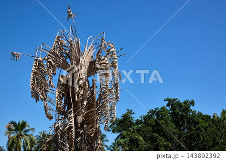 Dead Palm Crown with Brown Fronds in Tropical Setting Dead Palm Crown with Brown Fronds in Tropical Setting 143892392