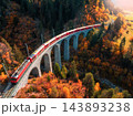 Aerial view of red train on Landwasser viaduct in autumn in Alps 143893238