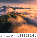 Aerial view of forest on alpine mountains in low clouds. Sunrise 143893241