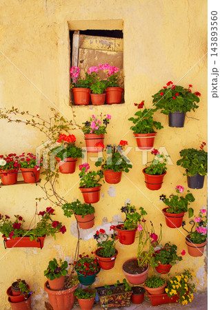 Burgos colorful facade with flower plants pots Burgos colorful facade with flower plants pots 143893560