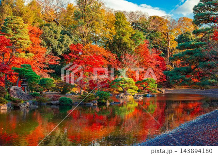 京都仙洞御所 紅葉リフレクション 京都仙洞御所 紅葉リフレクション 143894180