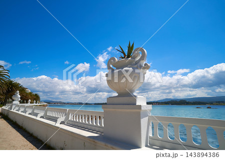 La Toja island Toxa beach flower pot in Pontevedra La Toja island Toxa beach flower pot in Pontevedra 143894386