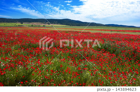 Spring meadow Camino Santiago Levante Spring meadow Camino Santiago Levante 143894623