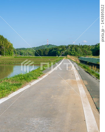 水田のある風景 水田のある風景 143895022