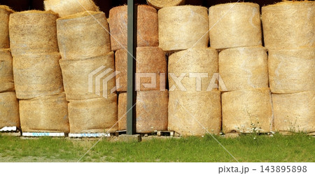 round wheat bales stacked stock rows golden round wheat bales stacked stock rows golden 143895898