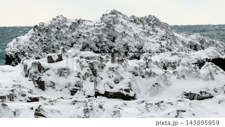雪の降り積もった海岸の岩場 143895959