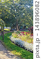 Lush landscaped garden with mature leafy tree, colorful flower bed, manicured lawn, paved walkway, outdoor seating, layered foliage, and sunlit residential setting 143896082