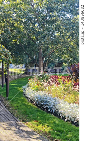 Lush landscaped garden with mature leafy tree, colorful flower bed, manicured lawn, paved walkway, outdoor seating, layered foliage, and sunlit residential setting 143896082