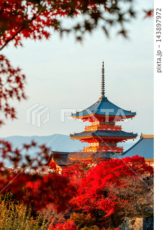 Kiyomizu-dera temple pagoda with red maple leaf frame in fall, Kyoto 143897972