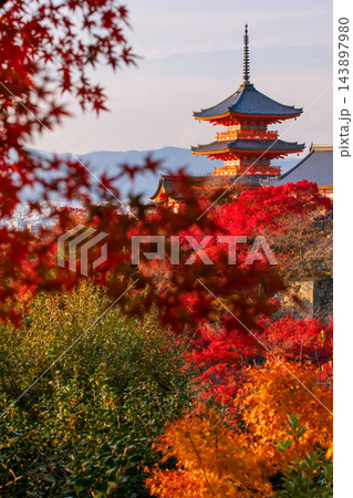 Kiyomizu-dera pagoda with colorful maple leaf in autumn at sunset, Kyoto 143897980
