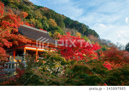 Kiyomizu-dera temple by hill with colorful maple leaves in autumn , Kyoto 143897985