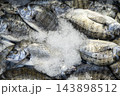 Sharp-Snouted Seabream Among Ice Cubes at a Fish Market. 143898512