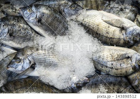 Sharp-Snouted Seabream Among Ice Cubes at a Fish Market. Sharp-Snouted Seabream Among Ice Cubes at a Fish Market. 143898512