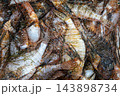 Lionfish Catch Displayed Together at a Fish Market. 143898734
