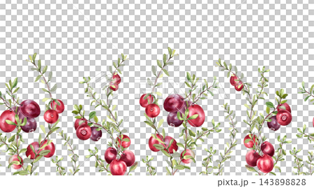 Red wild berries on thin sprigs with small leaves watercolor seamless border isolated. Cranberry plants repeat background for design. Botanical horizontal pattern with ripe fruits for packaging. Red wild berries on thin sprigs with small leaves watercolor seamless border isolated. Cranberry plants repeat background for design. Botanical horizontal pattern with ripe fruits for packaging. 143898828