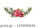 Watercolor pine branches with red berries and green leaves in semicircle isolated. Vibrant bog berry wreath for greeting card, food packaging, and natural design. Cranberry bunch and fir artwork. 143898830