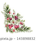 Watercolor cranberry berries and evergreen branches hand painted. Festive botanical corner with pine boughs and red fruits isolated. Christmas holiday decoration. Winter greenery drawing for design. 143898832