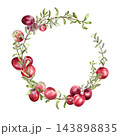 Cranberry wreath isolated. Watercolor circle of fresh red berries hand painted. Drawing of ripe bog fruit for food packaging, label, or recipe card design. Christmas frame of bright red berry plant. 143898835