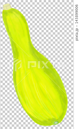 Hand-drawn style light green pumpkin PNG file with back removed; autumn harvest and Halloween transparent background material. Hand-drawn style light green pumpkin PNG file with back removed; autumn harvest and Halloween transparent background material. 143899006