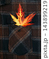 Bright yellow and red autumn maple leaf sticking out of plaid shirt pocket close up  143899219