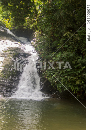 waterfall in the forest waterfall in the forest 143900075