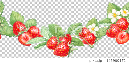 Strawberry seamless horizontal garland border ribbon with sliced halves, blossoms and leaves. Hand drawn watercolor botanical illustration. Repeat edge design for tea packaging clip art 143900172