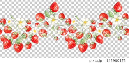 Strawberry seamless horizontal border ribbon with cluster sprigs, white blossoms and red berries. Hand drawn watercolor botanical illustration. Repeat edge design for tea packaging clip art Strawberry seamless horizontal border ribbon with cluster sprigs, white blossoms and red berries. Hand drawn watercolor botanical illustration. Repeat edge design for tea packaging clip art 143900173
