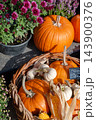 Autumn market decoration featuring pumpkin baskets and corn among flowers 143900376