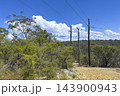Wooden telephone poles on a rocky dirt track in the Blue Mountains 143900943