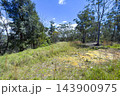 Grass and weeds growing on the ridgeline of a gully in the Blue Mountains 143900975