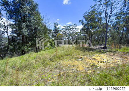 Grass and weeds growing on the ridgeline of a gully in the Blue Mountains 143900975