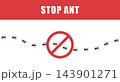 Ant trail. Small ants in row on path or road. Pest control team by inspection and fumigation against contamination. Vector illustration 143901271