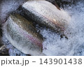Freshly Caught Trout Displayed on Ice at a Fish Market. 143901438