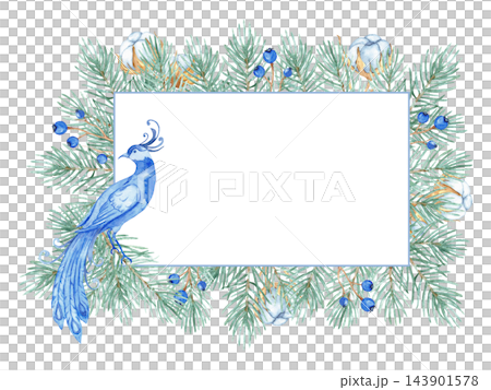 Watercolor chinoiserie Christmas horizontal frame with blue bird of paradise, pine branches, cotton and berries isolated Watercolor chinoiserie Christmas horizontal frame with blue bird of paradise, pine branches, cotton and berries isolated 143901578