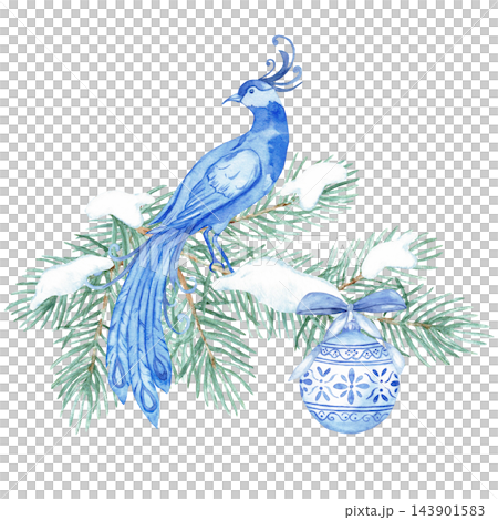 Watercolor chinoiserie Christmas bird of paradise on snowy pine branch with blue and white bauble isolated Watercolor chinoiserie Christmas bird of paradise on snowy pine branch with blue and white bauble isolated 143901583