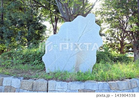 千葉県立柏の葉公園 千葉県立柏の葉公園 143904338
